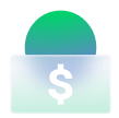 Budget Icon